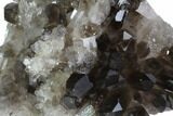 Dark Smoky Quartz Crystal Cluster - Brazil #84842-2